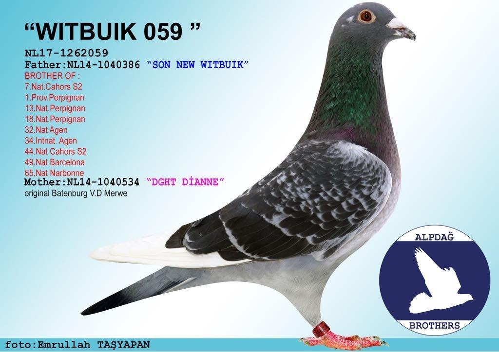 NL 17-1262059