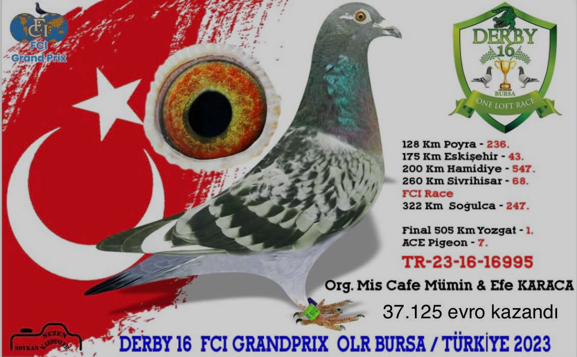 Derby 16 2023  Fcı Grandprıx final şampiyonu