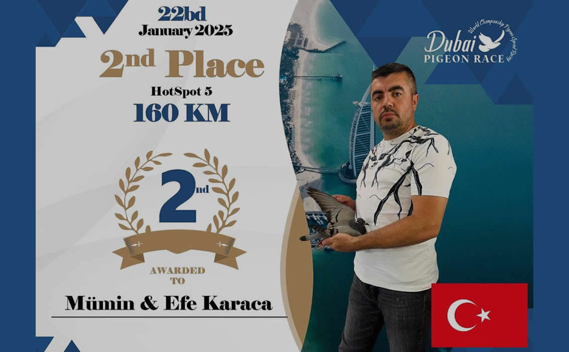 Dubai Pigeon Race 160km 2nd